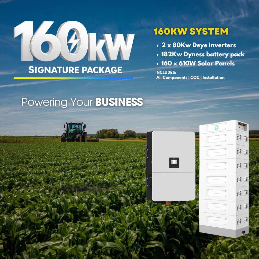 160Kw Deye Banner 5Kw SNA Inverter 5Kw Dyness Battery 1C 6 x 450w panels